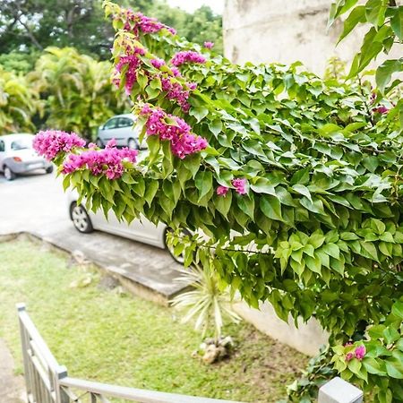 Color Garden - Studio Martinique سانت آن المظهر الخارجي الصورة