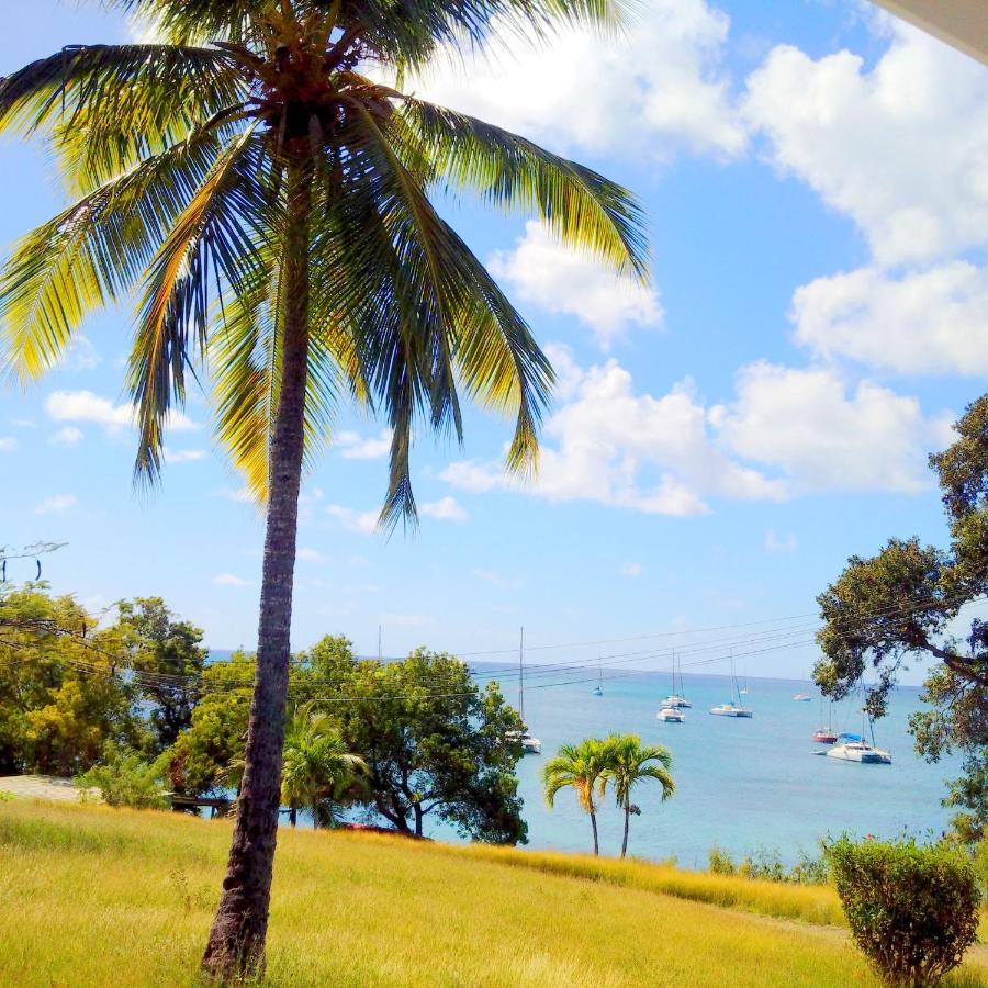Color Garden - Studio Martinique سانت آن المظهر الخارجي الصورة