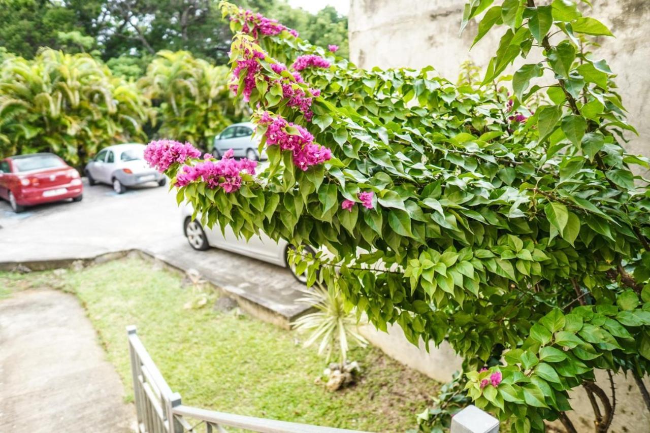 Color Garden - Studio Martinique سانت آن المظهر الخارجي الصورة