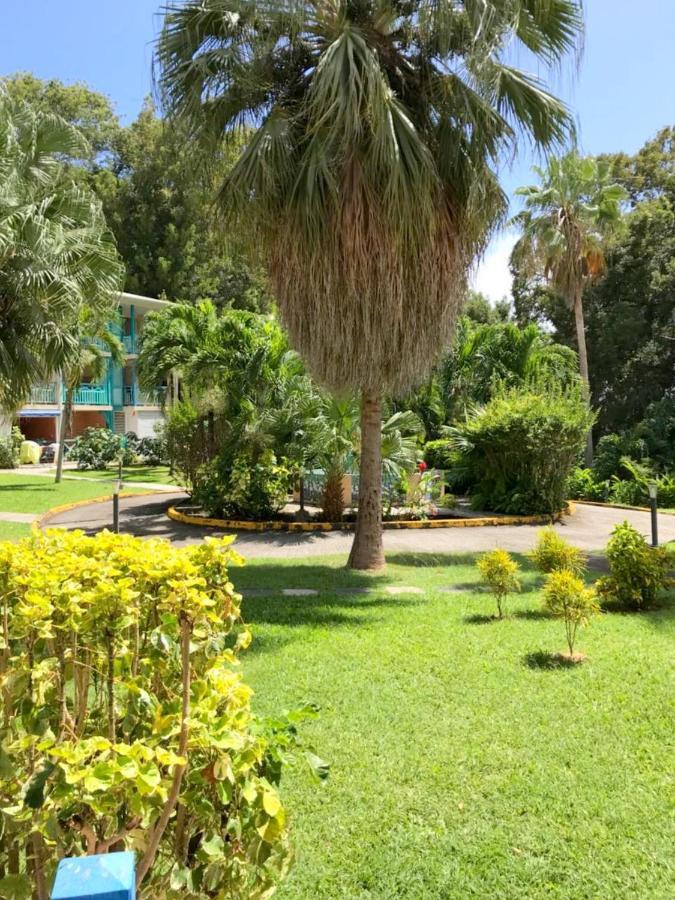 Color Garden - Studio Martinique سانت آن المظهر الخارجي الصورة