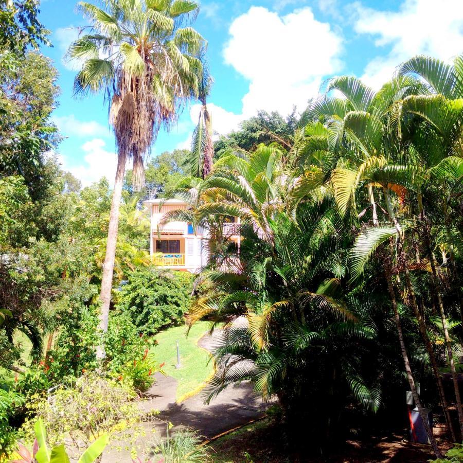 Color Garden - Studio Martinique سانت آن المظهر الخارجي الصورة