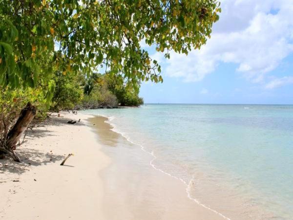 Color Garden - Studio Martinique سانت آن المظهر الخارجي الصورة