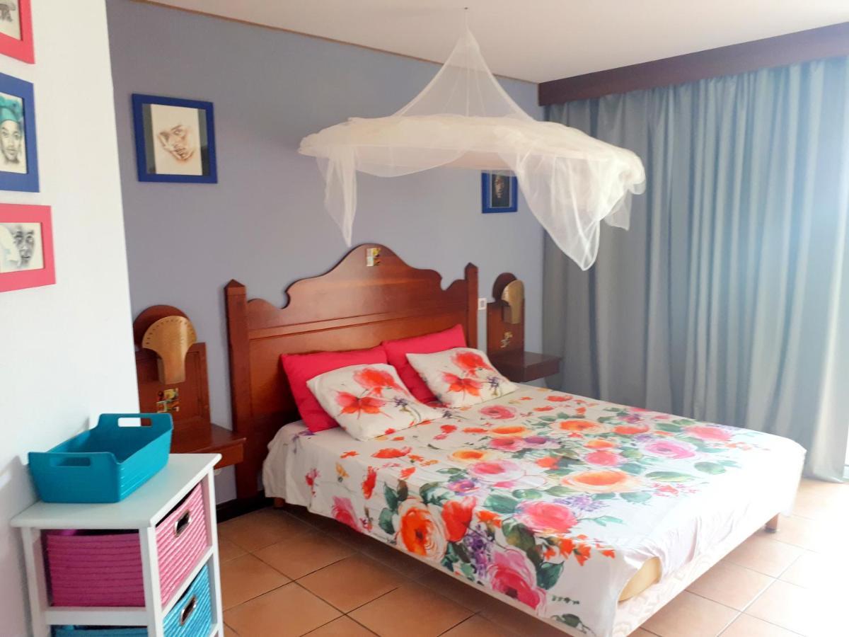 Color Garden - Studio Martinique سانت آن المظهر الخارجي الصورة