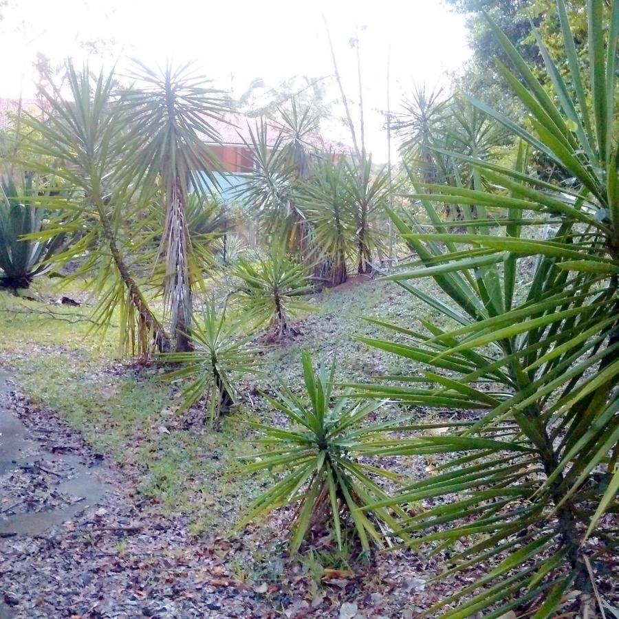 Color Garden - Studio Martinique سانت آن المظهر الخارجي الصورة