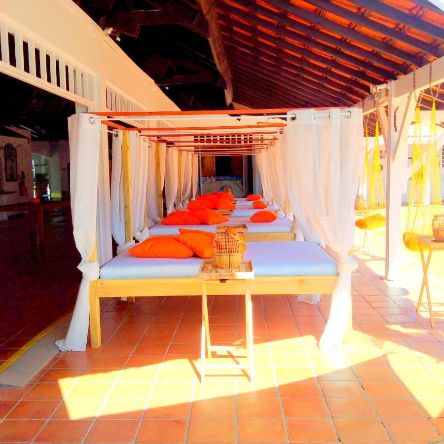 Color Garden - Studio Martinique سانت آن المظهر الخارجي الصورة